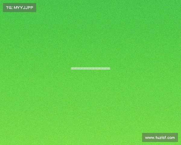 曼联重振辉煌之路:从青训到豪门再出发的战略布局与挑战